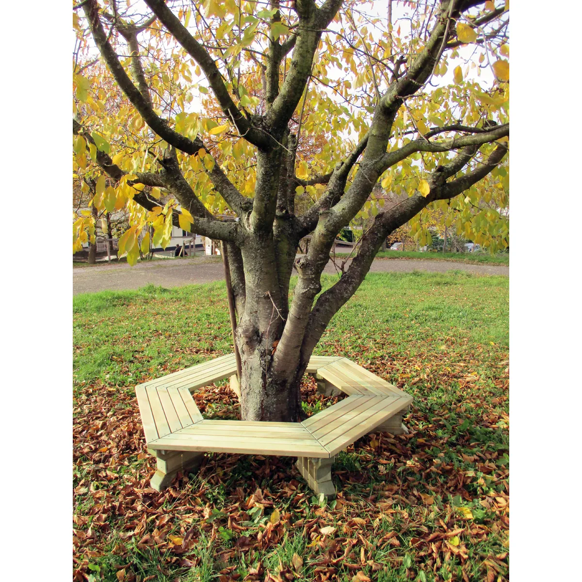 6-Eck-Baumbank Kiefer — Kiki-Ena Bastelmaterial Naturholz