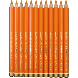 belcolART Farb Gigant 12 Stifte orange — Eduplay padagogisches Spielzeug Kita belcolART Farb Gigant 12 Stifte orange — Eduplay padagogisches Spielzeug Kita