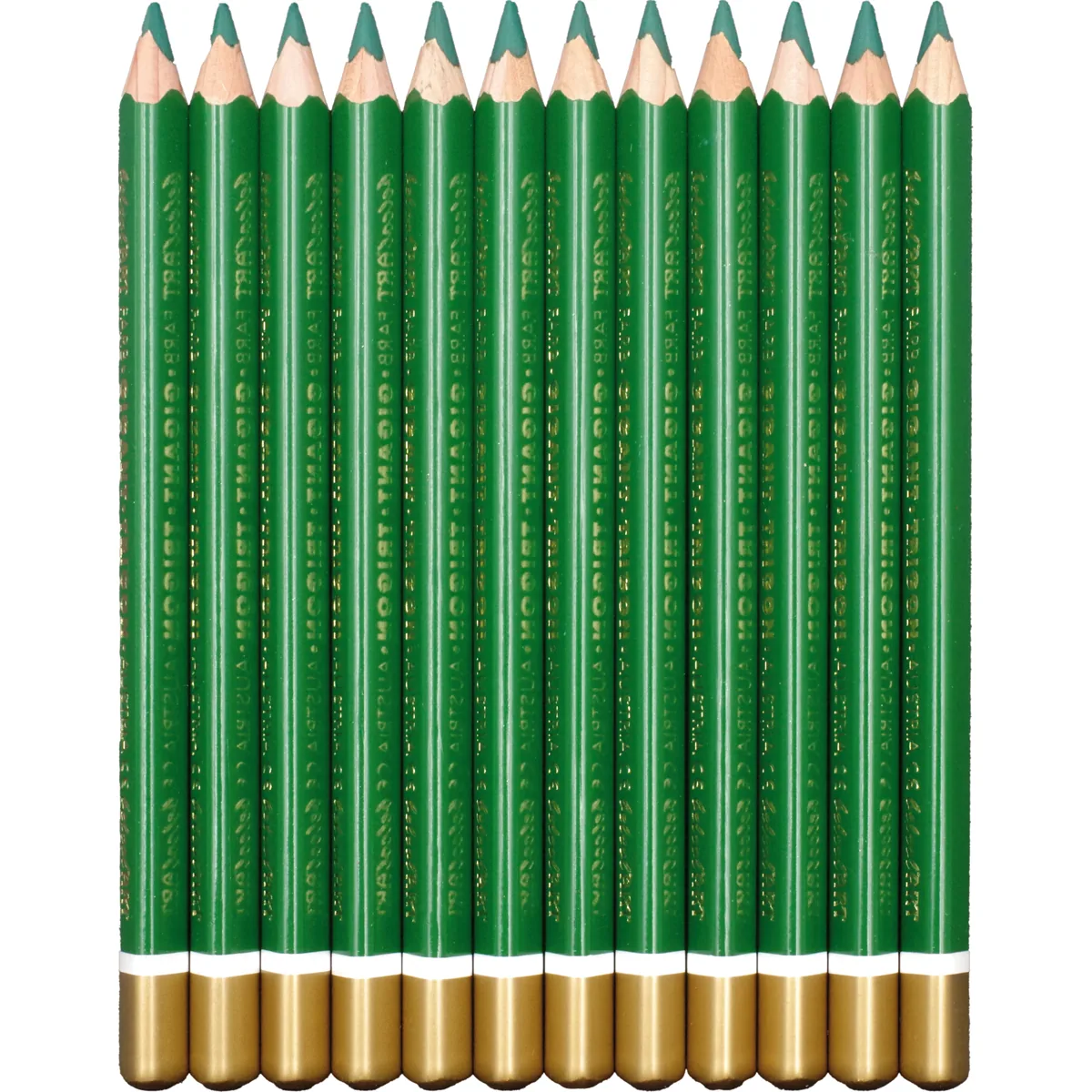 belcolART Farb Gigant Trigon 12 Stifte dunkelgrün — Eduplay padagogisches Spielzeug Kita