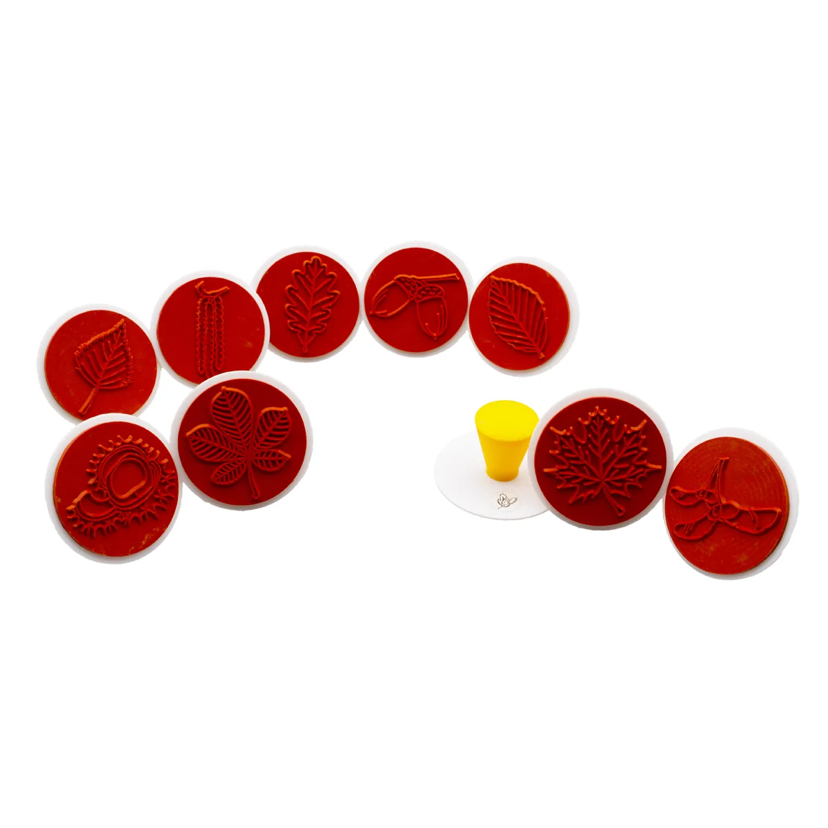 Blätterstempel 10-tlg. — Eduplay padagogisches Spielzeug Kita