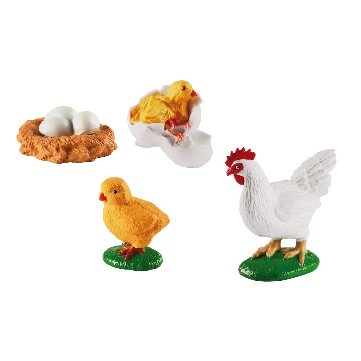 Lebenszyklen Huhn — Eduplay padagogisches Spielzeug Kita