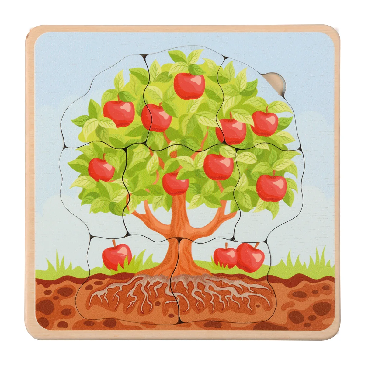 Lebenszyklen Puzzle Apfelbaum — Eduplay padagogisches Spielzeug Kita