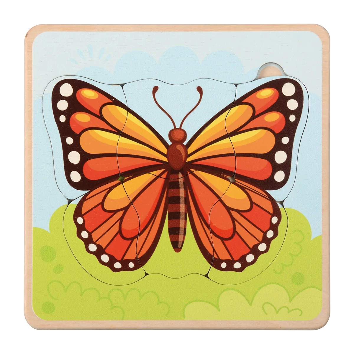 Lebenszyklen Puzzle Schmetterling — Eduplay padagogisches Spielzeug Kita Lebenszyklen Puzzle Schmetterling — Eduplay padagogisches Spielzeug Kita