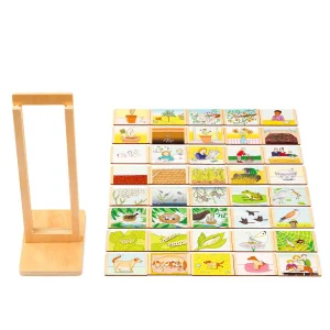 Life cycle — Eduplay padagogisches Spielzeug Kita Life cycle — Eduplay padagogisches Spielzeug Kita