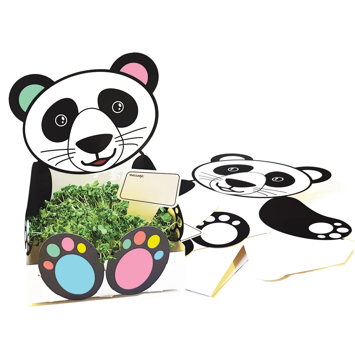 Pflanzschale Panda — Eduplay padagogisches Spielzeug Kita
