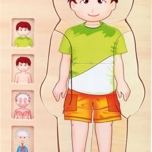 Schichtenpuzzle Anatomie Junge — Millhouse Lernspielzeug Schule Schichtenpuzzle Anatomie Junge — Millhouse Lernspielzeug Schule