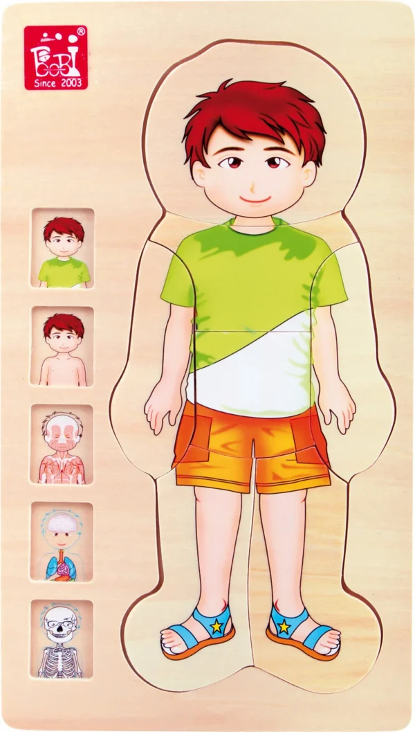Schichtenpuzzle Anatomie Junge — Millhouse Lernspielzeug Schule Schichtenpuzzle Anatomie Junge — Millhouse Lernspielzeug Schule