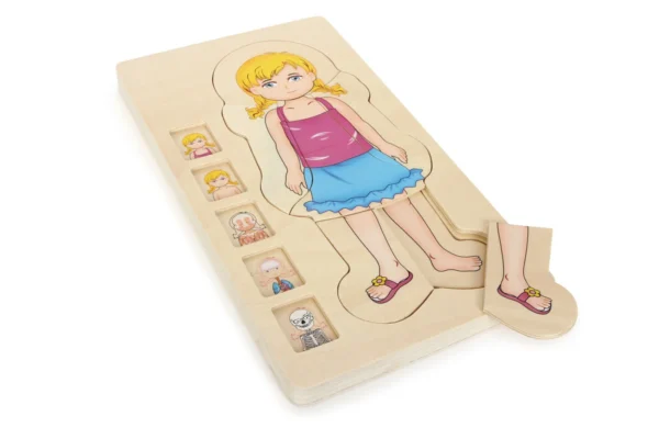 Schichtenpuzzle Anatomie Mädchen — Millhouse Lernspielzeug Schule