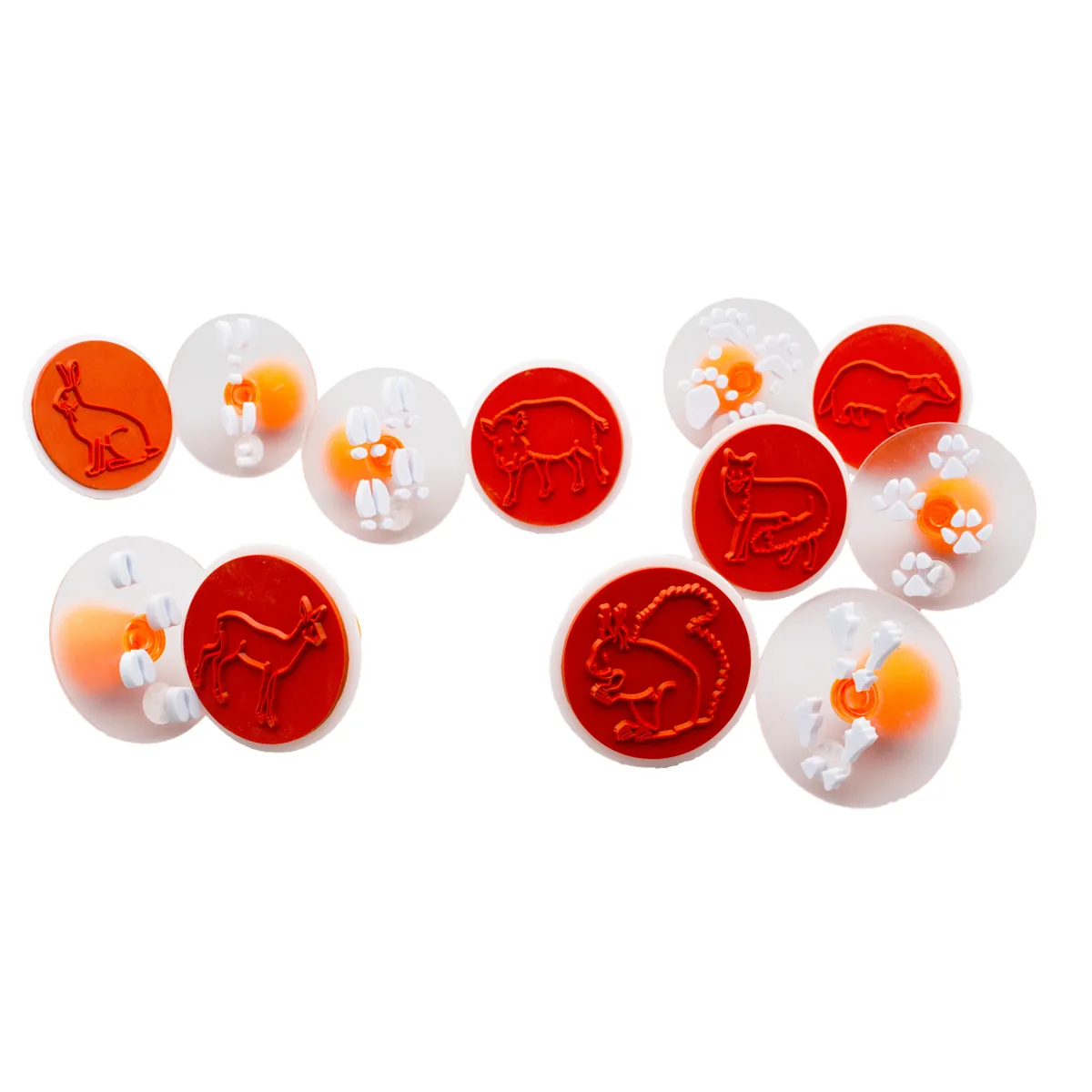 Tierspurenstempel 12er Set — Eduplay padagogisches Spielzeug Kita